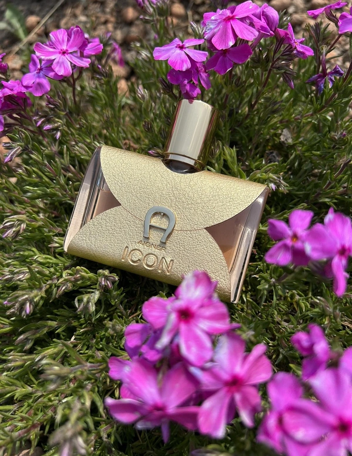 Aigner Icon