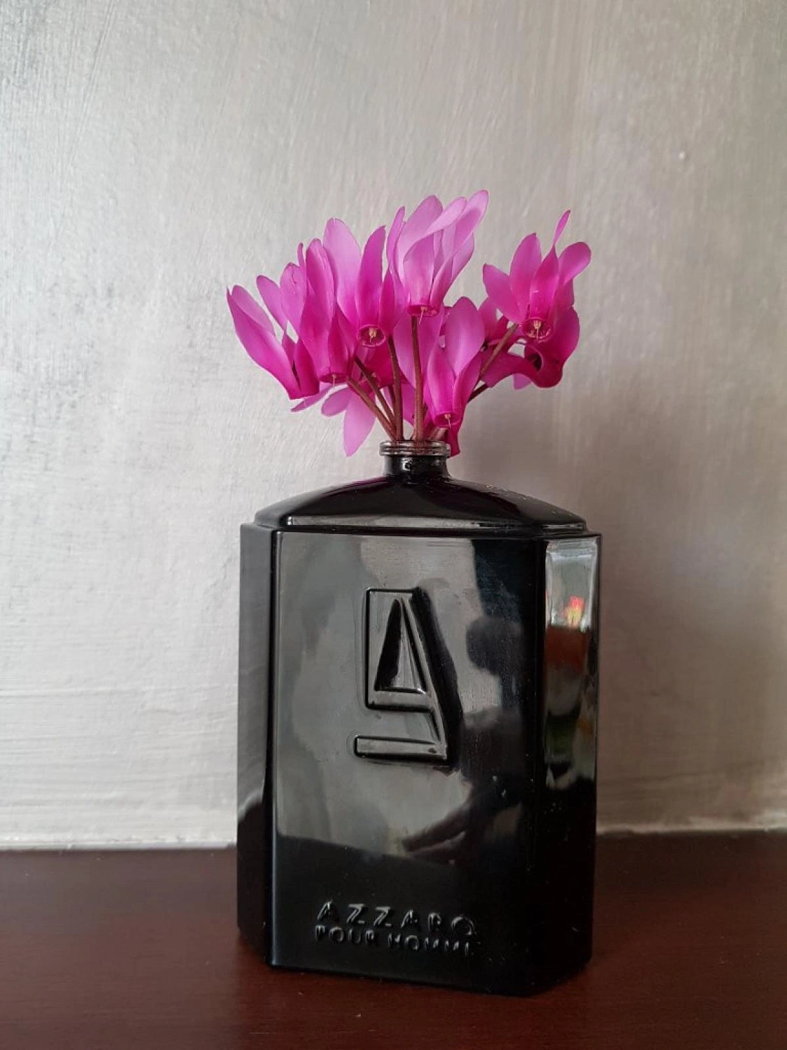 Azzaro Silver Black
