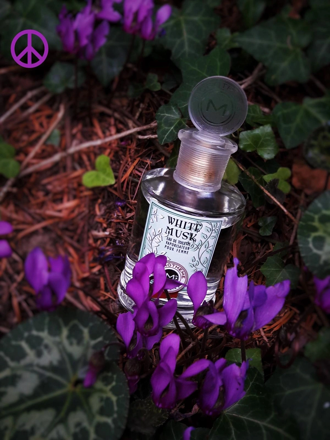 Monotheme Fine Fragrances Venezia White Musk Pour Femme