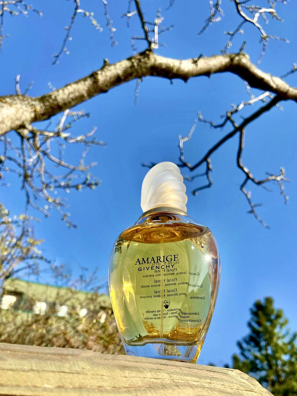 Givenchy Amarige