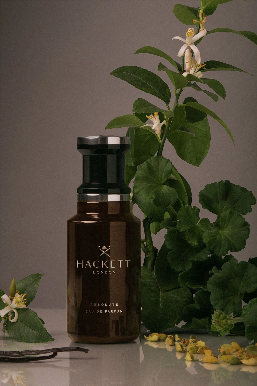 Hackett London Absolute