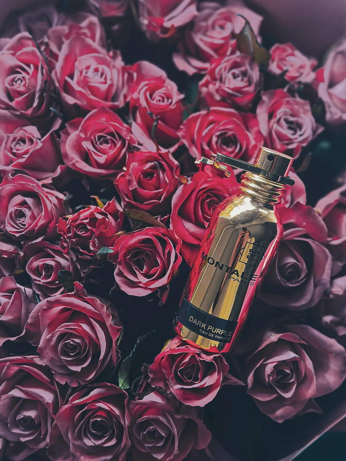 Montale Dark Purple