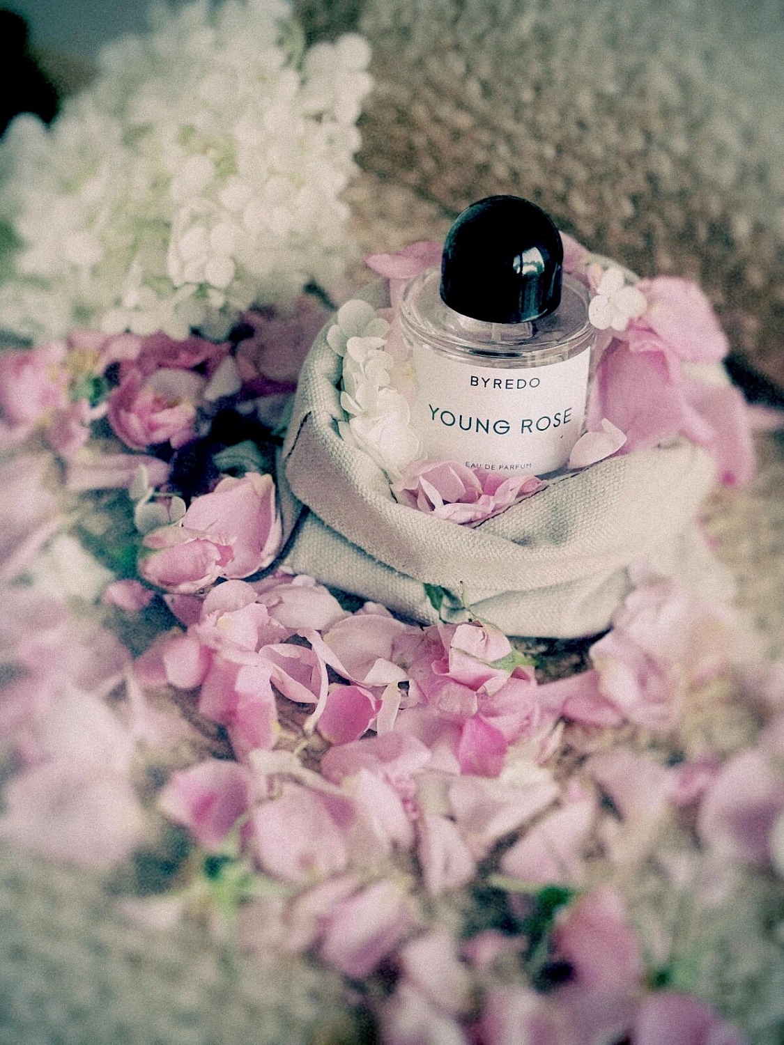 BYREDO Young Rose