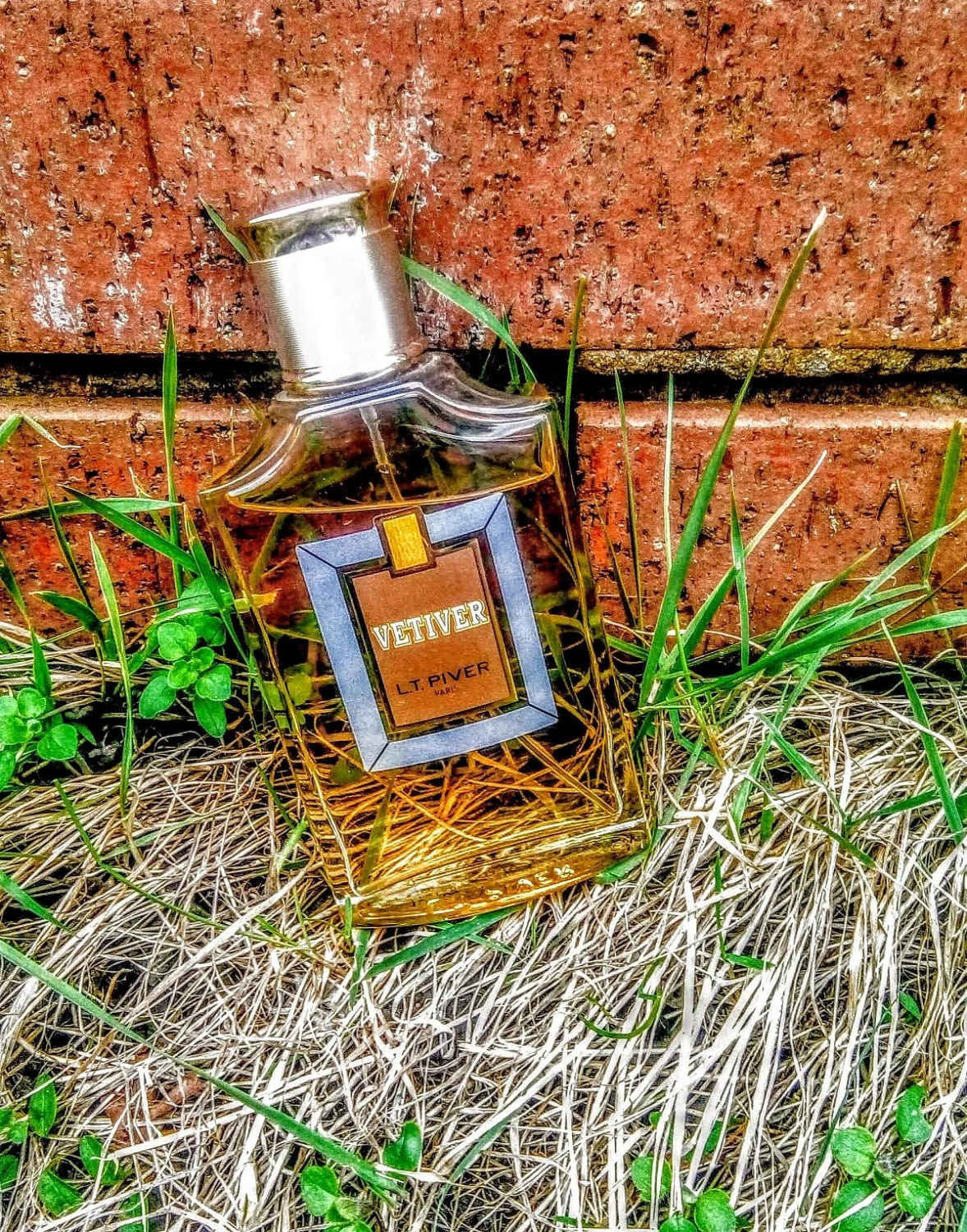 L.T. Piver Vetiver