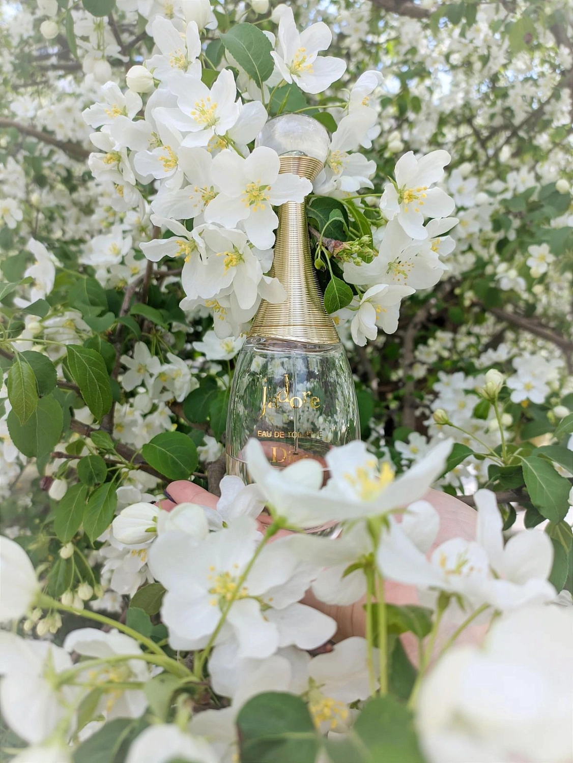 Christian Dior J'adore Lumiere