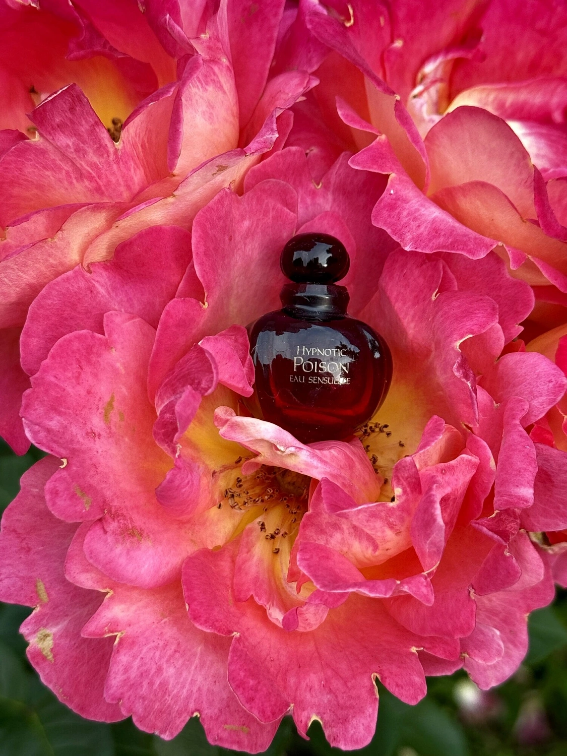 Christian Dior Hypnotic Poison Eau Sensuelle