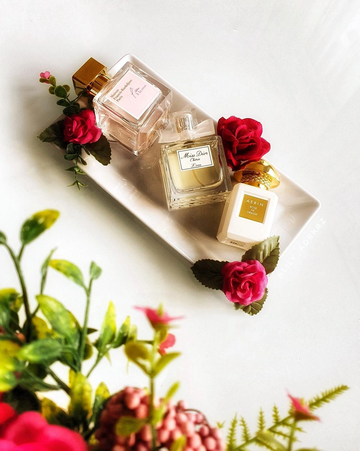 AERIN Rose de Grasse