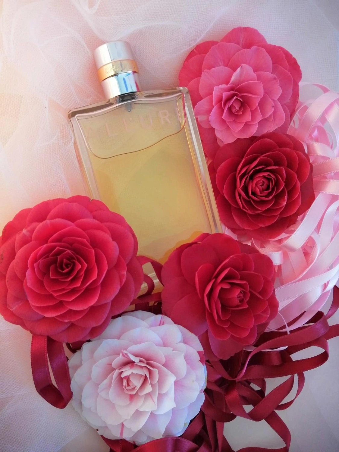 Chanel Allure