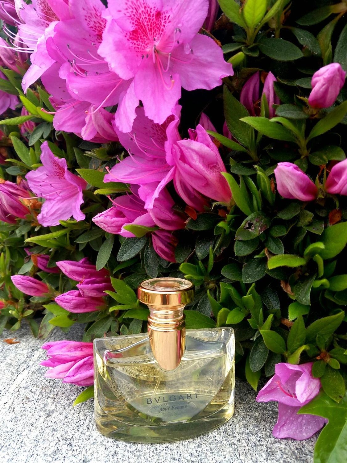 Bvlgari Pour Femme