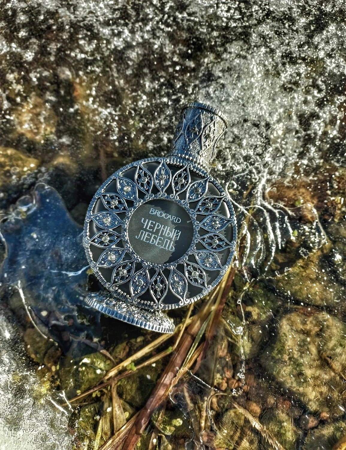 Brocard Черный лебедь