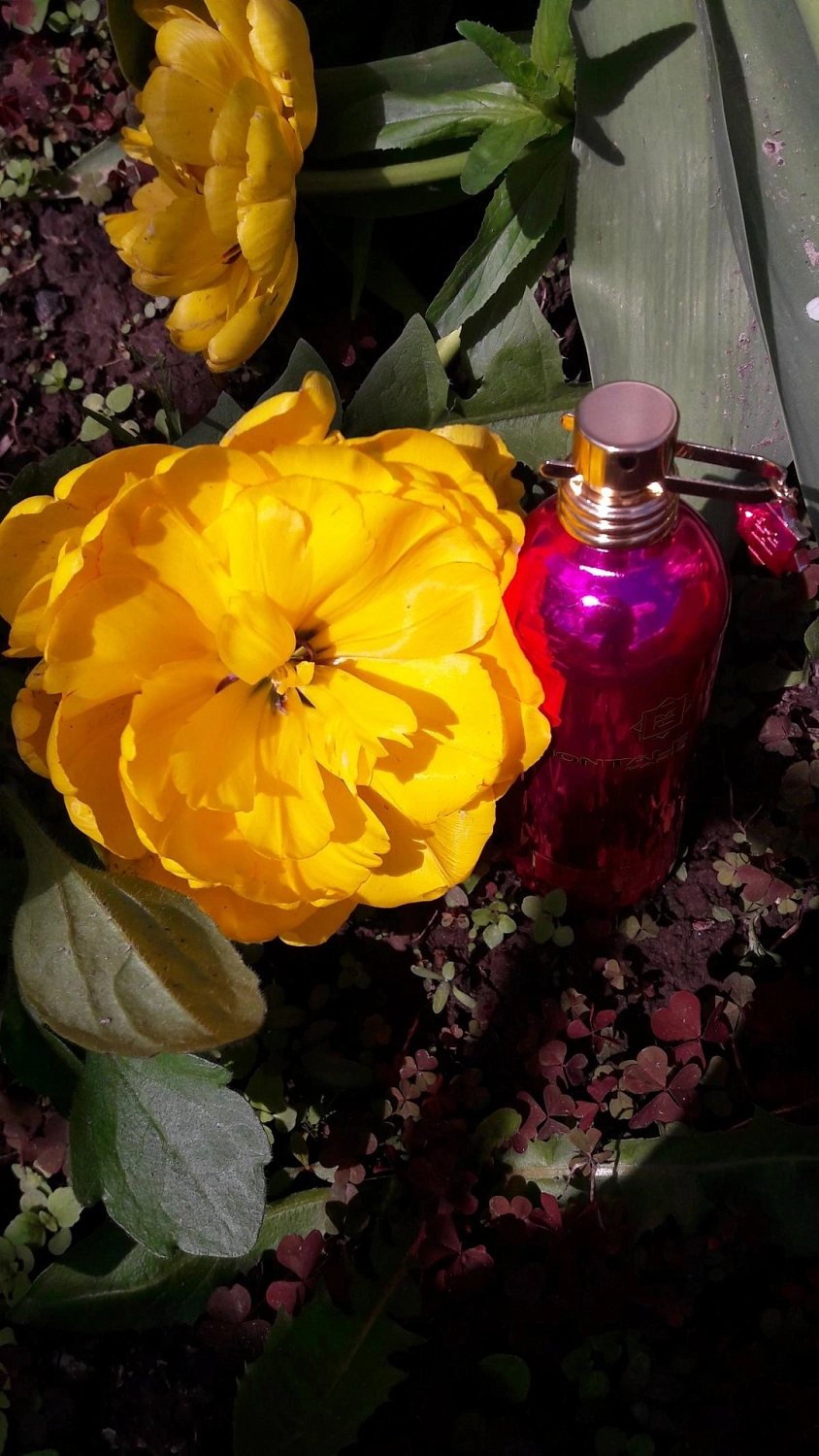 Montale Pink Extasy