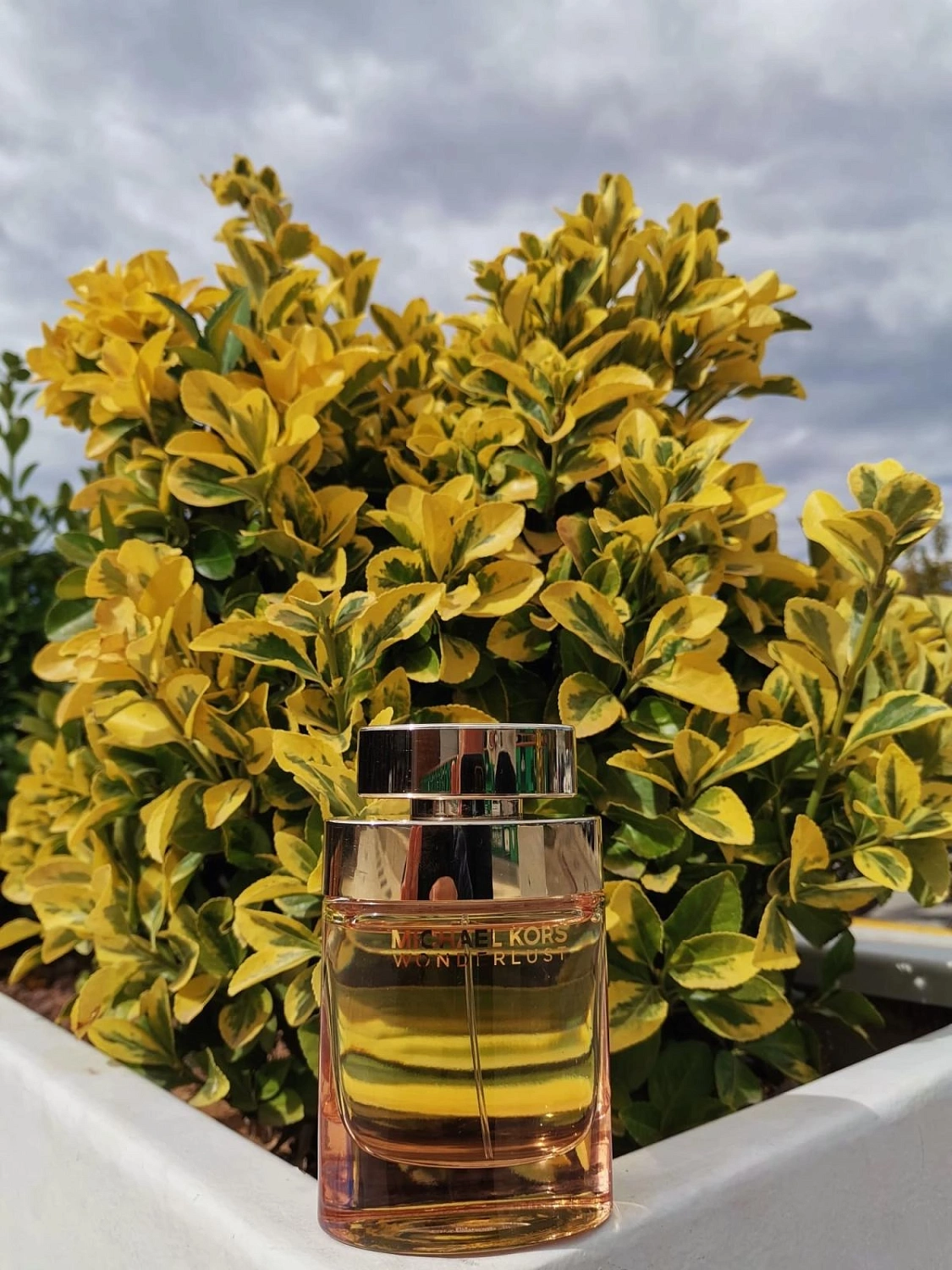 Michael Kors Wonderlust