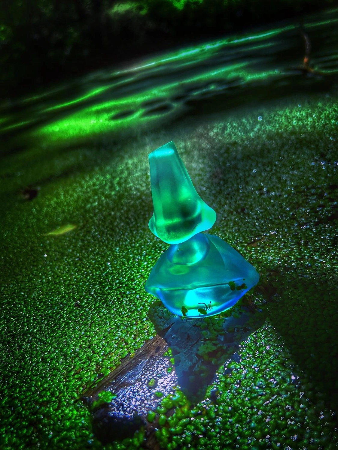 Salvador Dalí Laguna