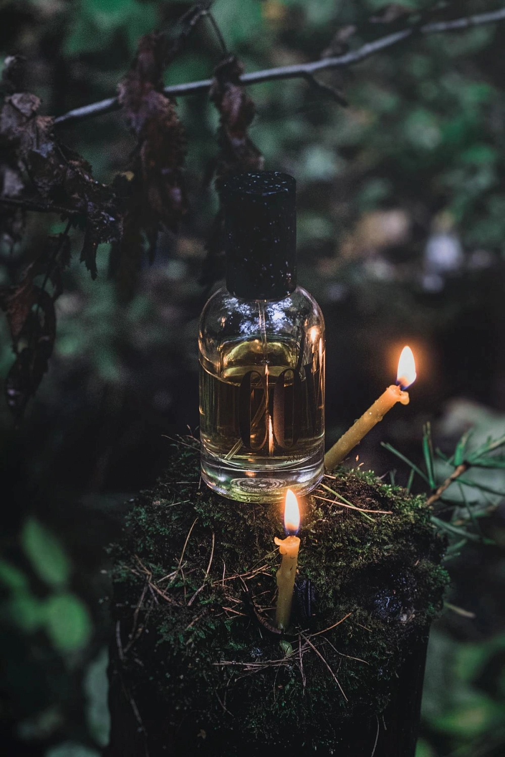 Andrea Maack Coven