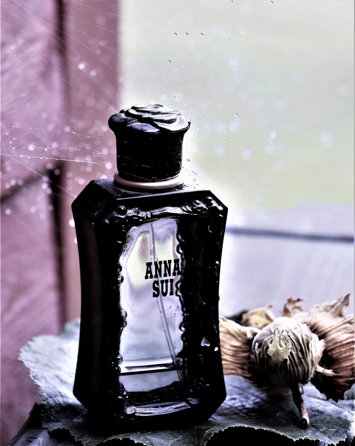 Anna Sui