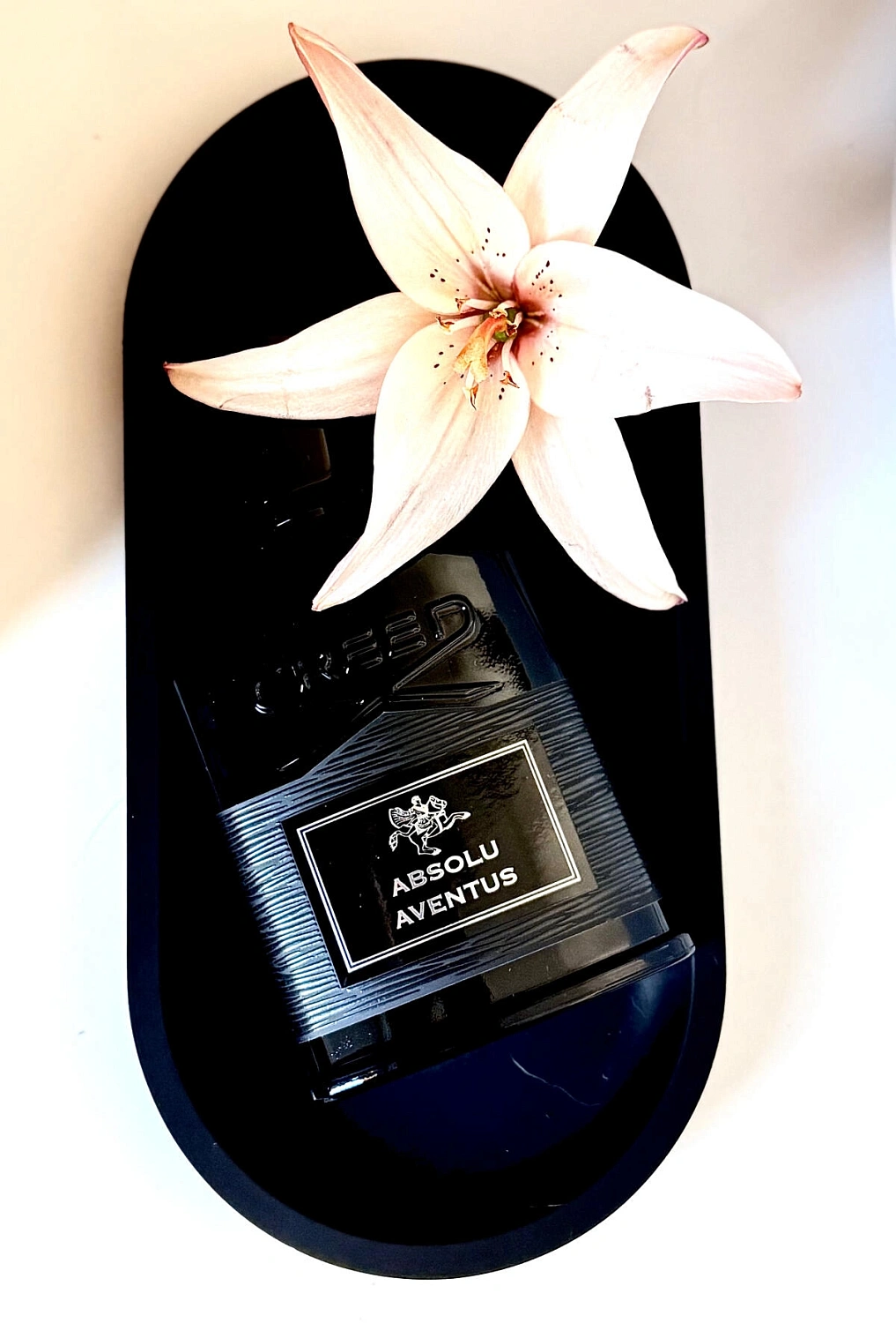 Creed Absolu Aventus
