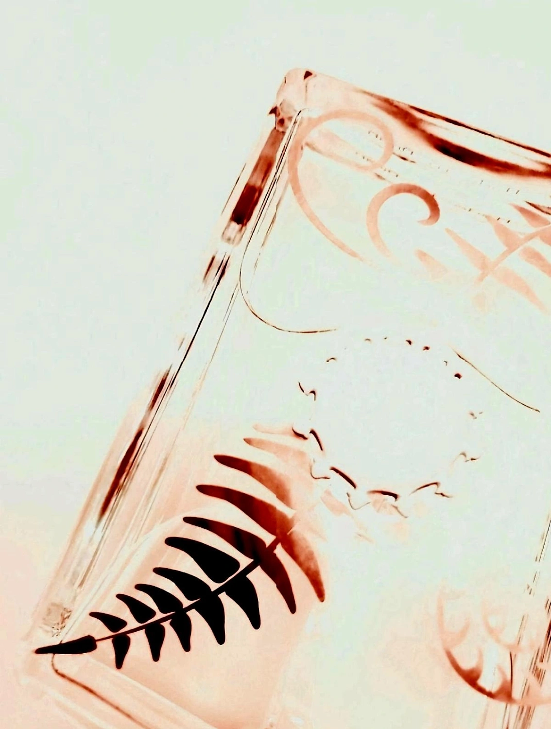 Amouage Bracken Man