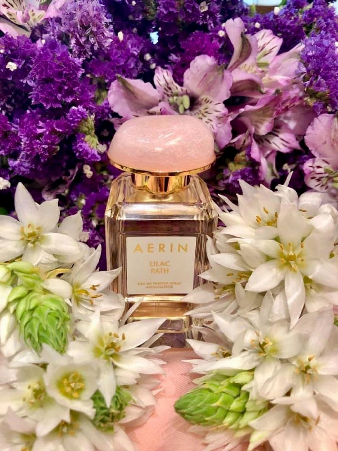 AERIN Lilac Path