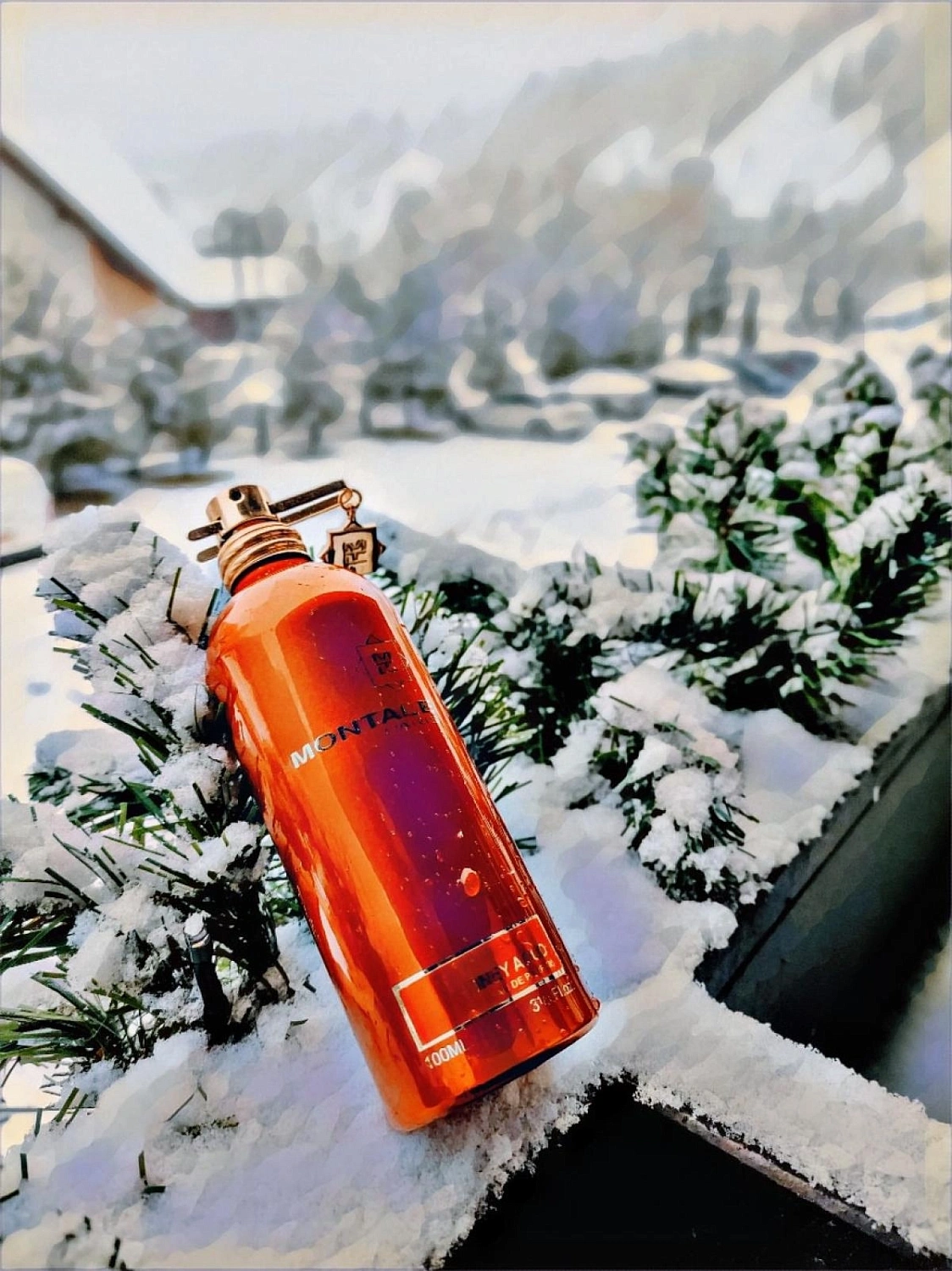 Montale Honey Aoud