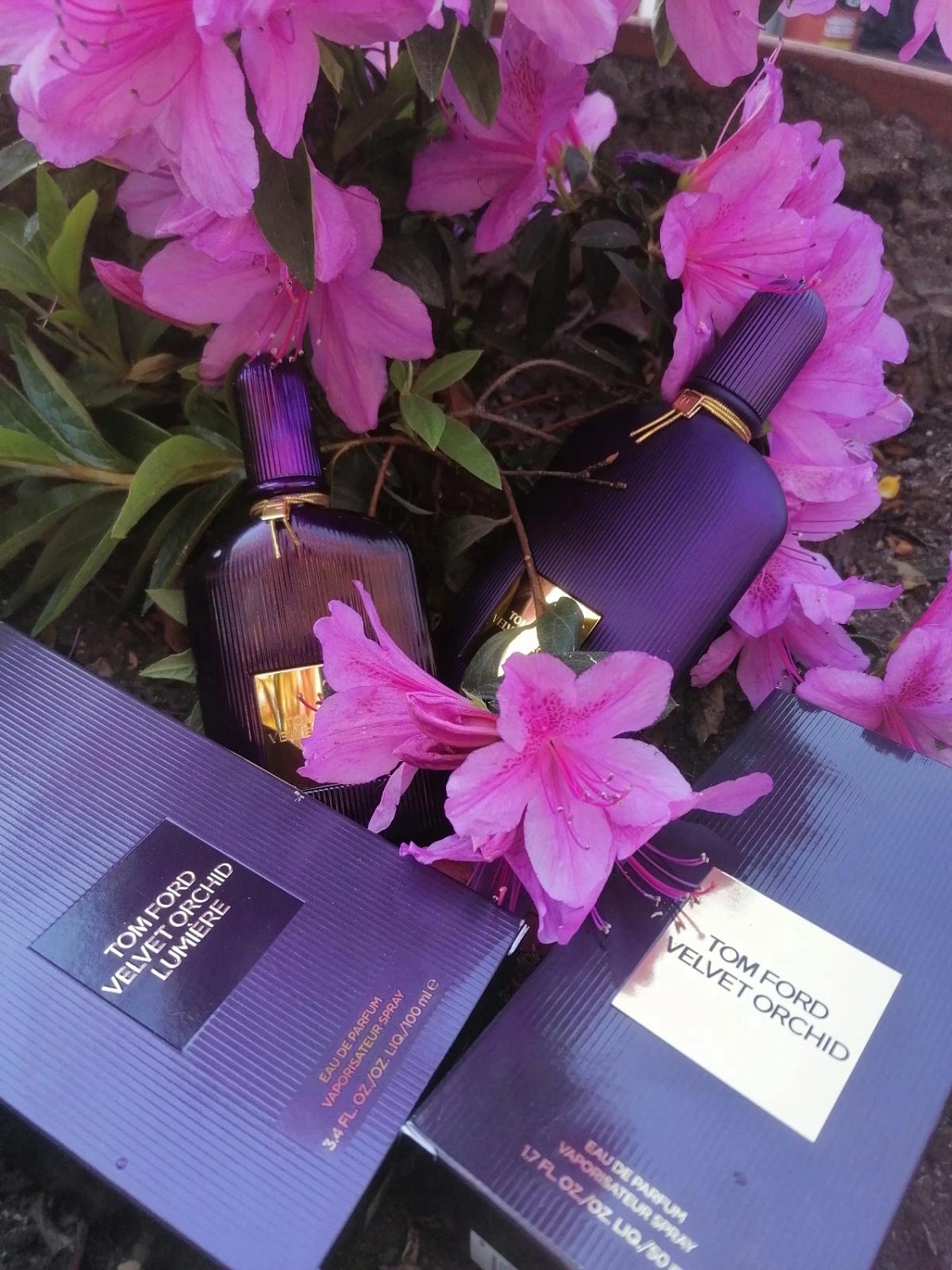 Tom Ford Velvet Orchid Lumiere