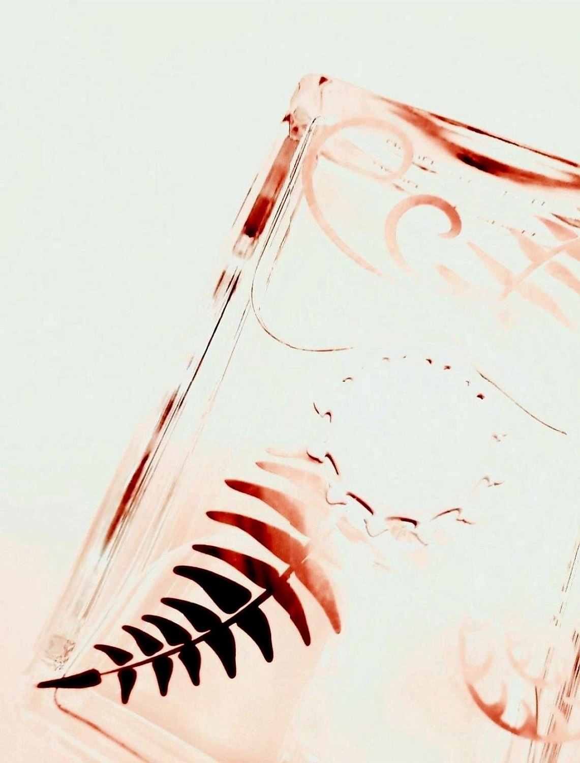 Amouage Bracken Man