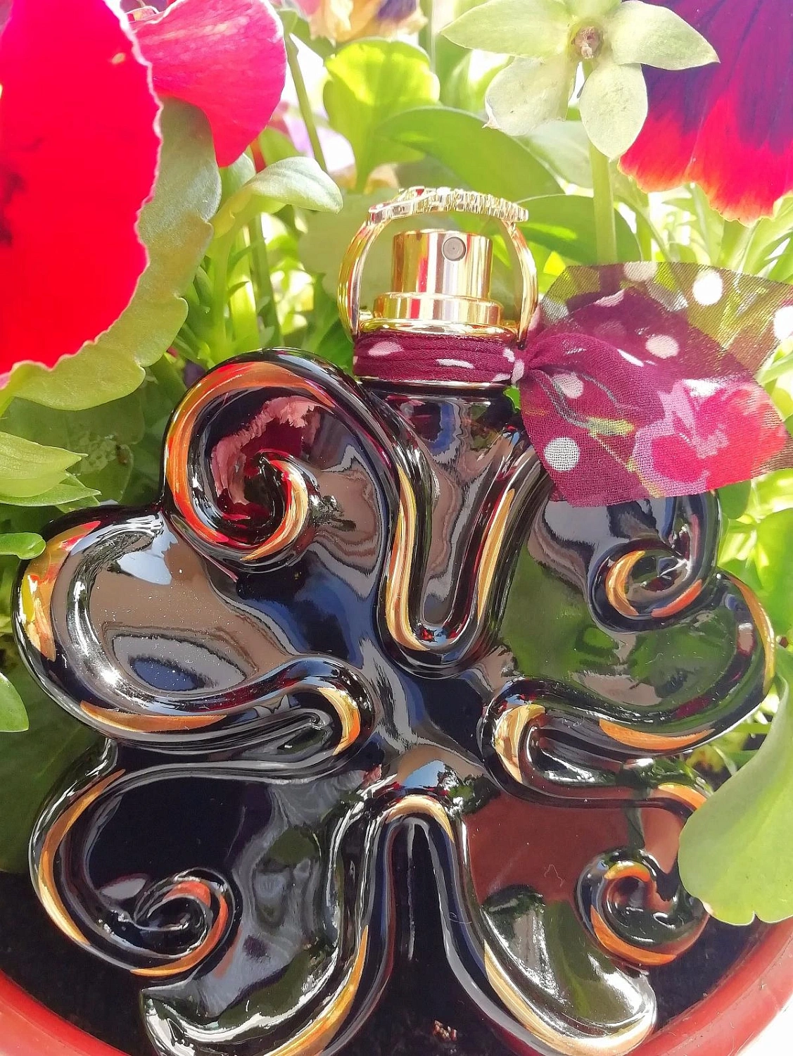 Lolita Lempicka Illusions Noires Si Lolita Eau de Minuit