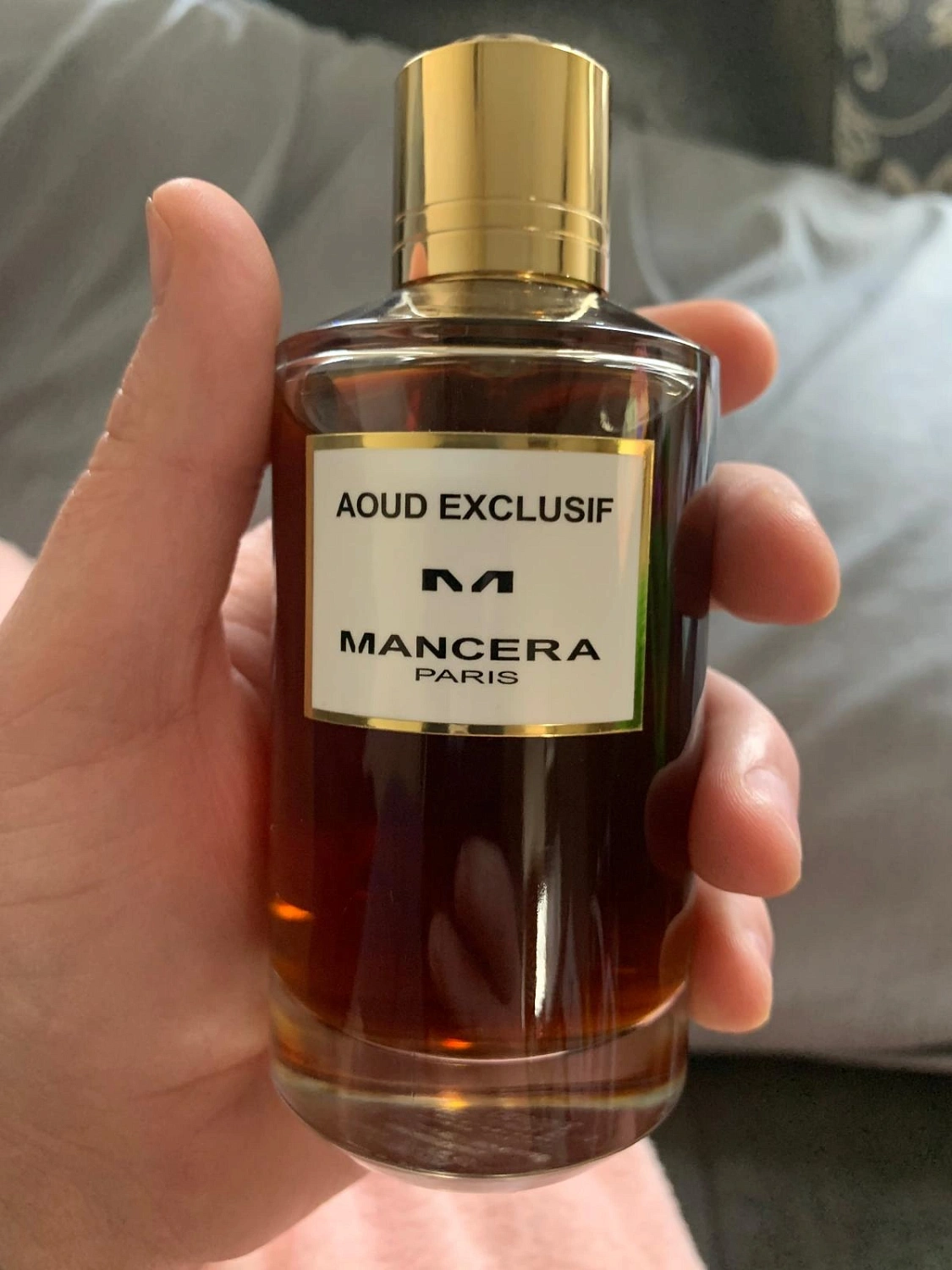 Mancera Aoud Exclusif