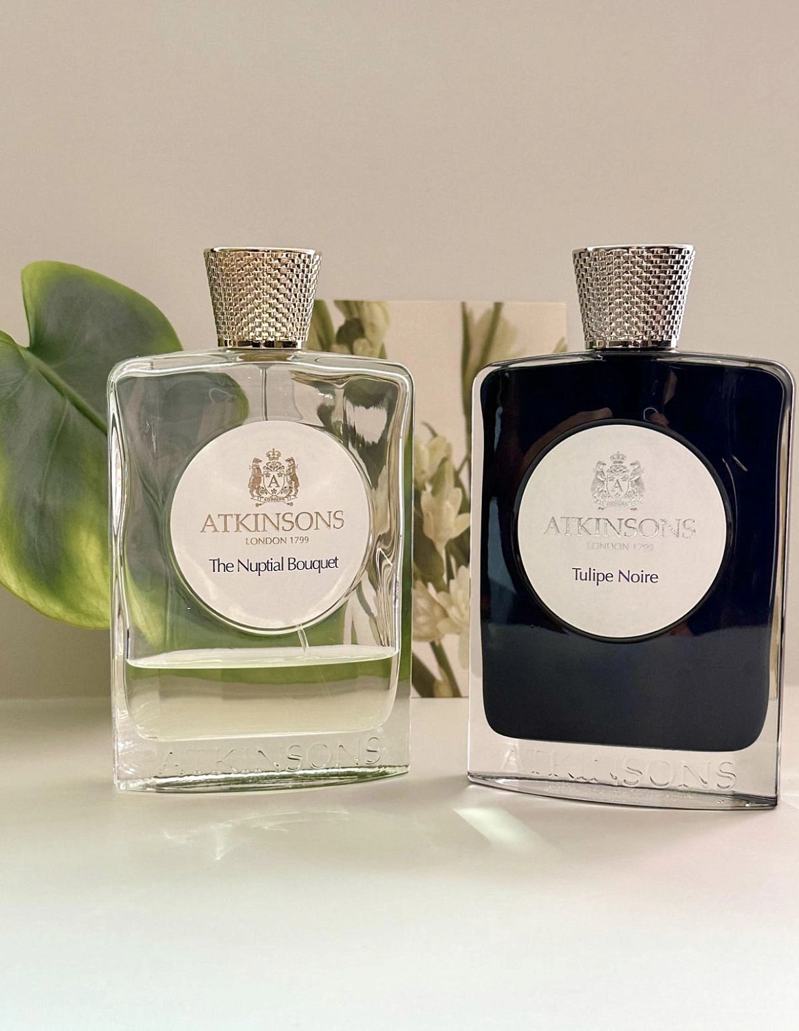 Atkinsons Tulipe Noire