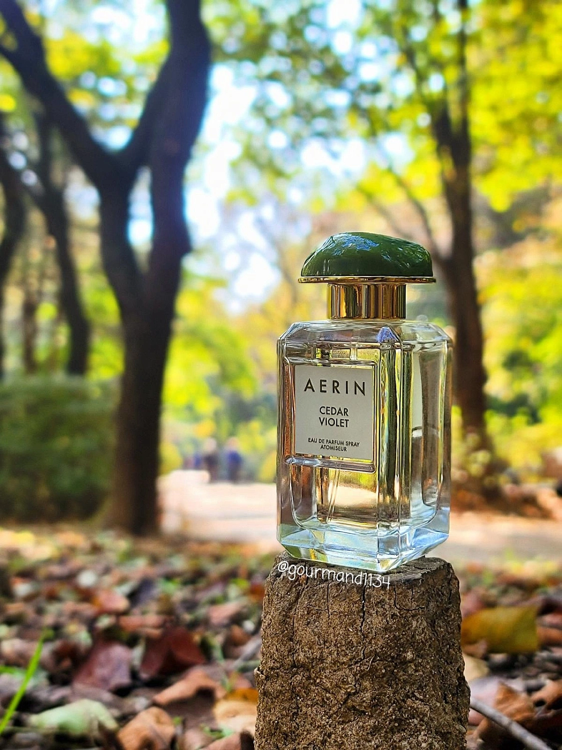 AERIN Cedar Violet
