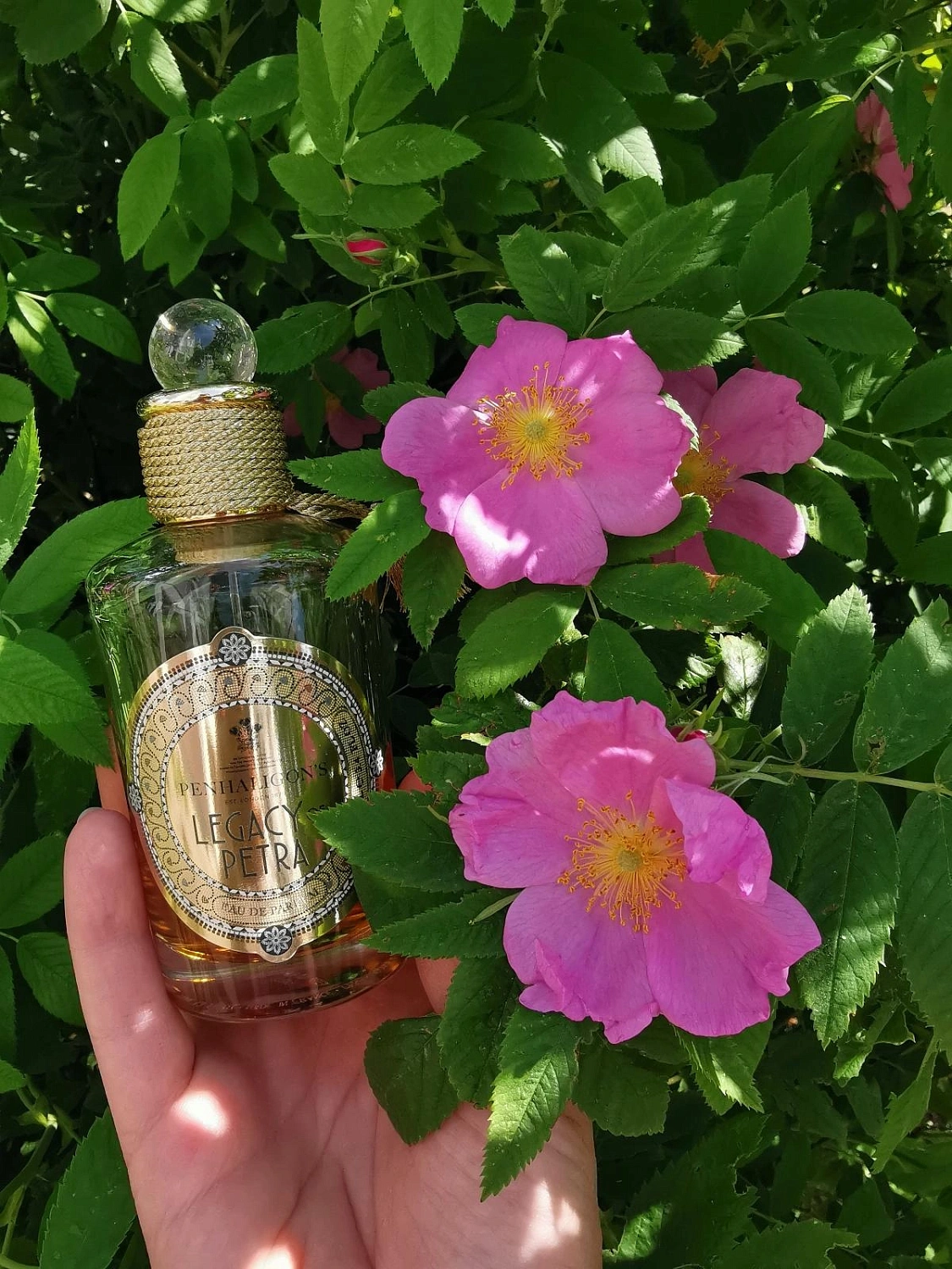 Penhaligon's Legacy of Petra