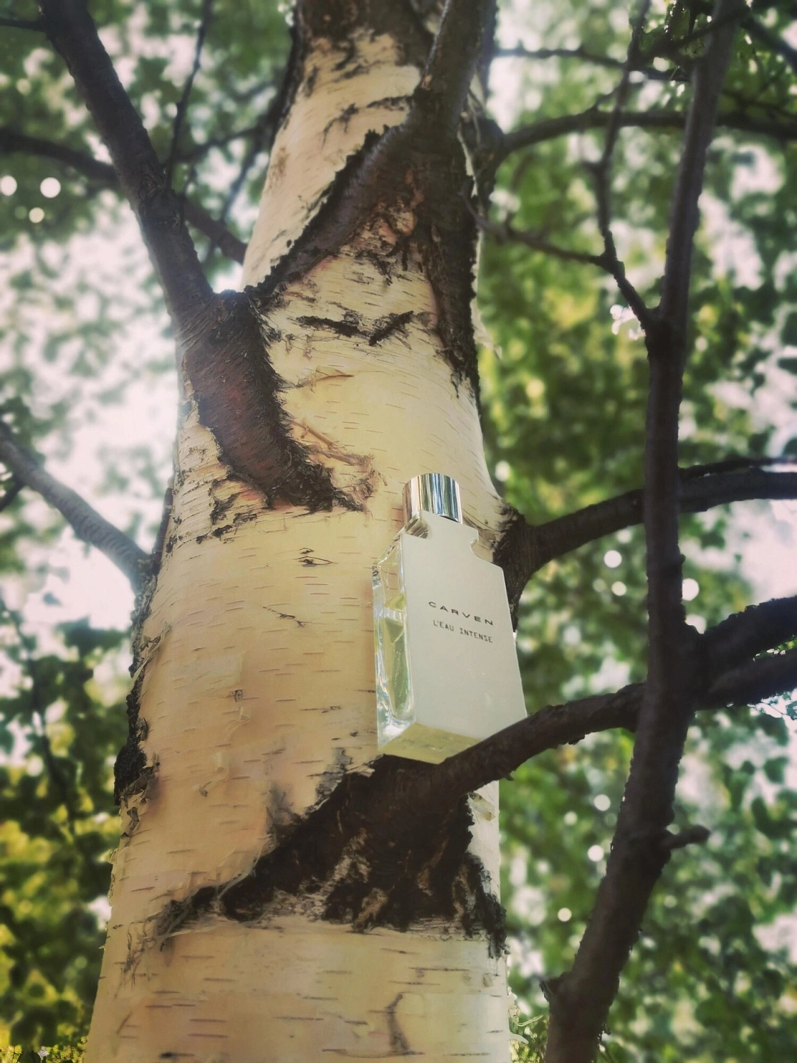 Carven L'Eau Intense