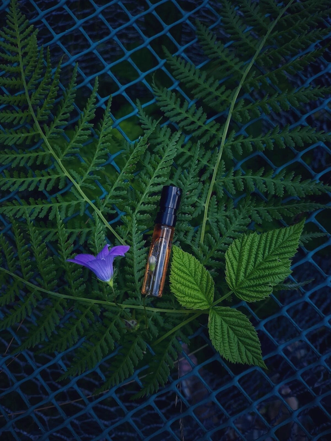Initio Parfums Privés Psychedelic Love