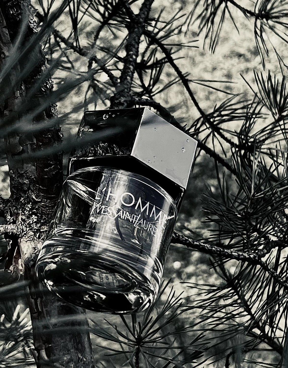 Yves Saint Laurent L'Homme