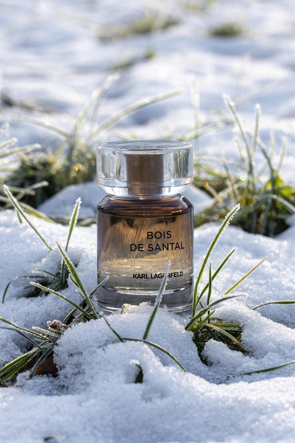 Karl Lagerfeld Bois de Santal