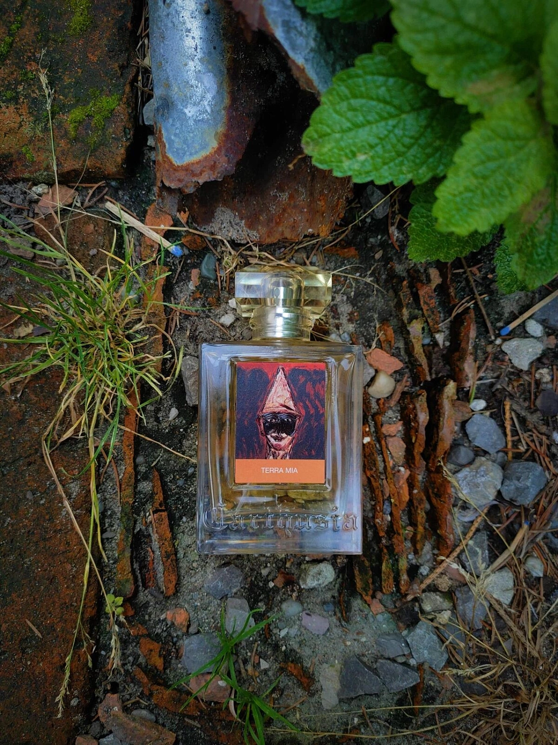 Carthusia Terra Mia