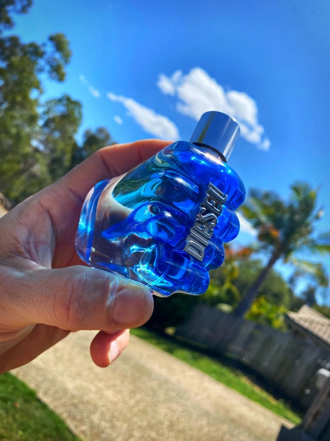 Diesel Only The Brave High