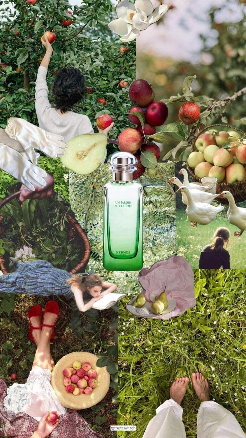 Hermès Un Jardin Sur Le Toit