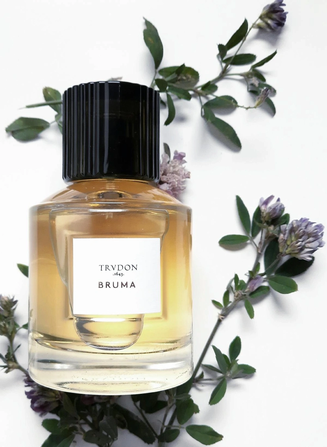 Maison Trudon Bruma