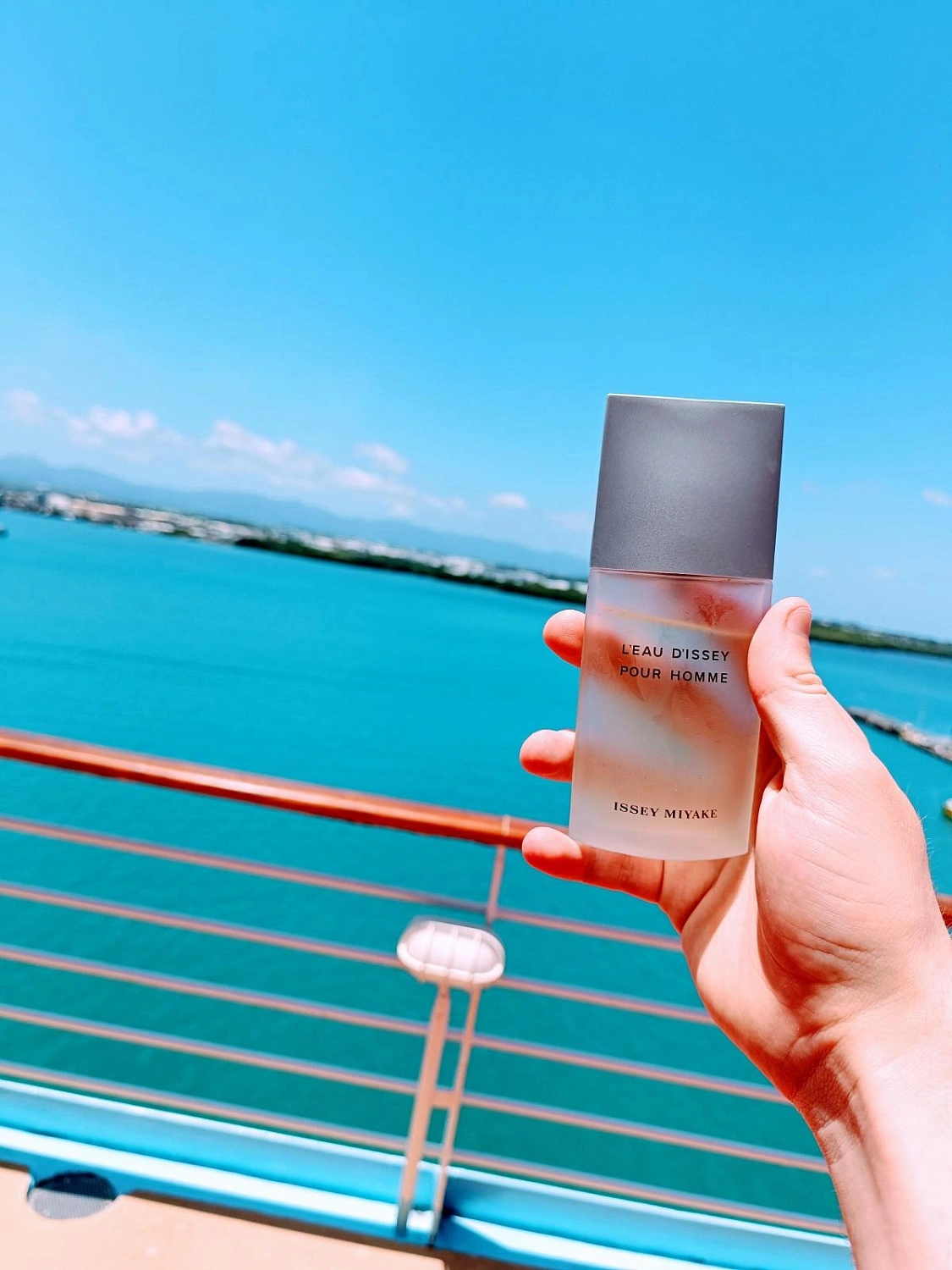 Issey Miyake L'eau d'Issey pour Homme