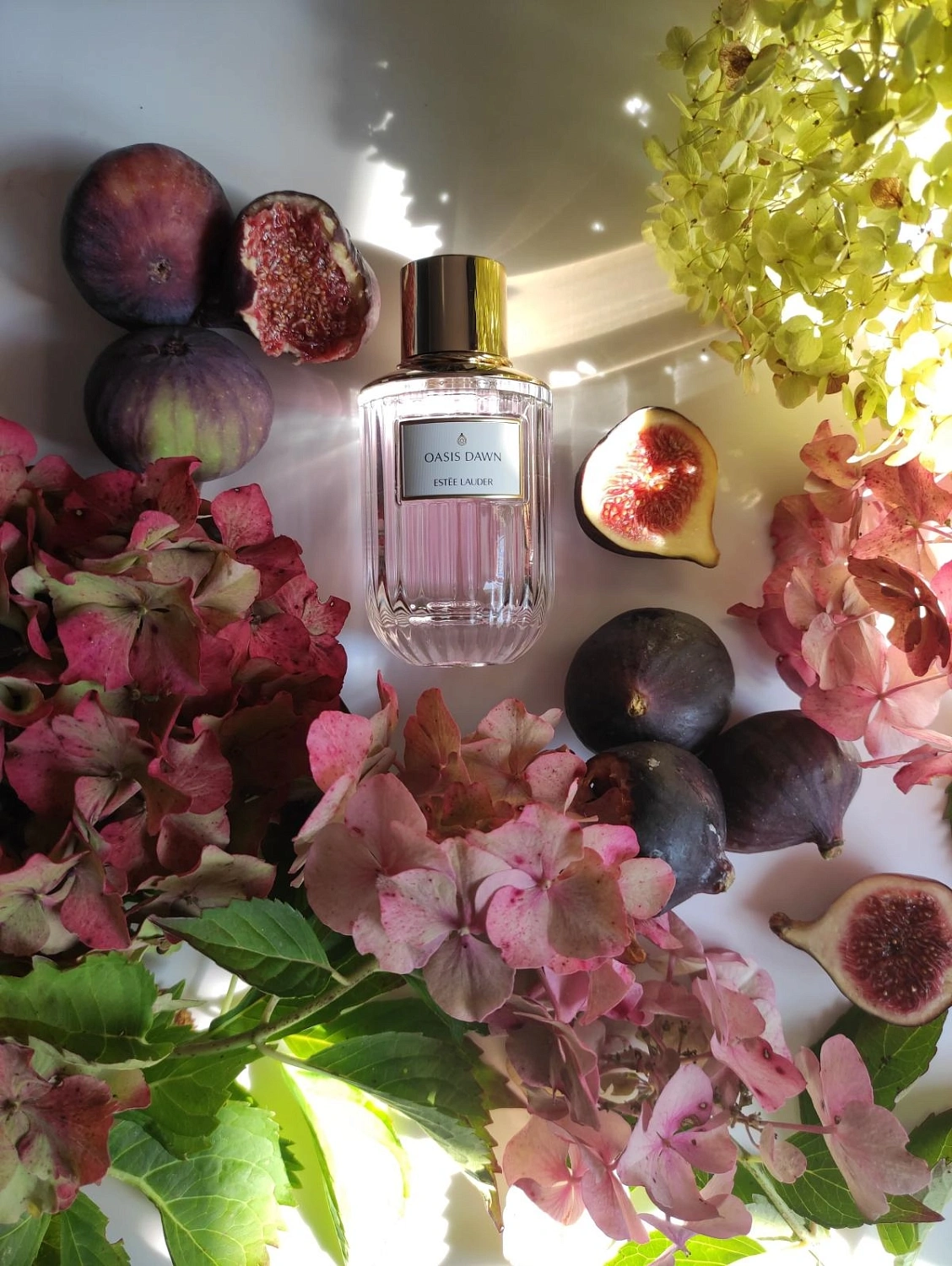 Estée Lauder Oasis Dawn