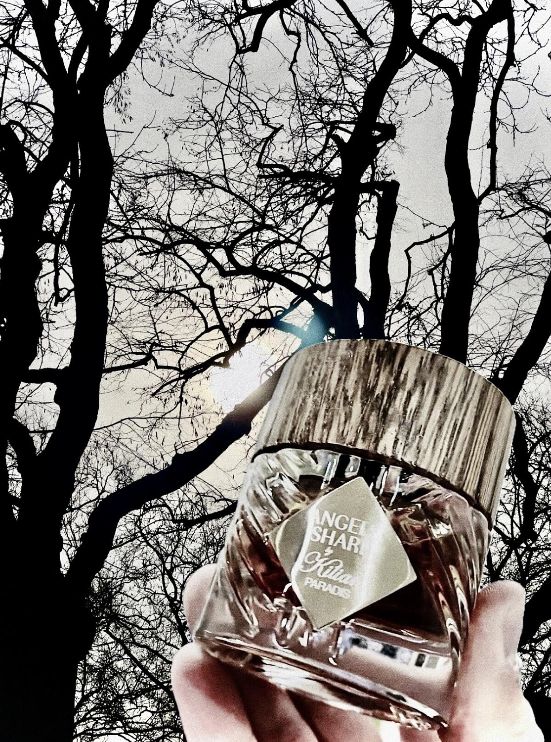 By Kilian Angels' Share Paradis