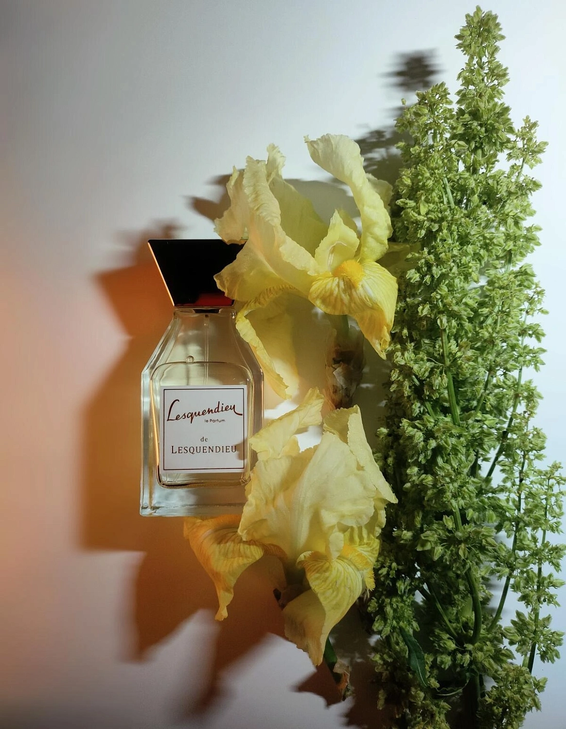 Lesquendieu Le Parfum