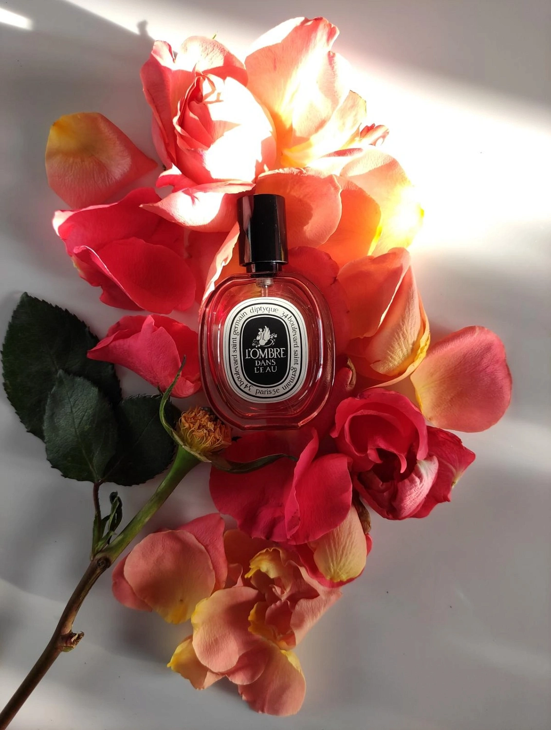 Diptyque L'Ombre Dans L'Eau Limited Edition