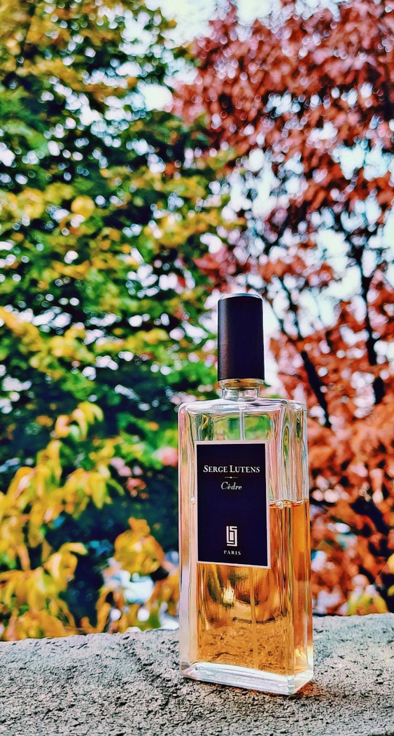 Serge Lutens Cedre