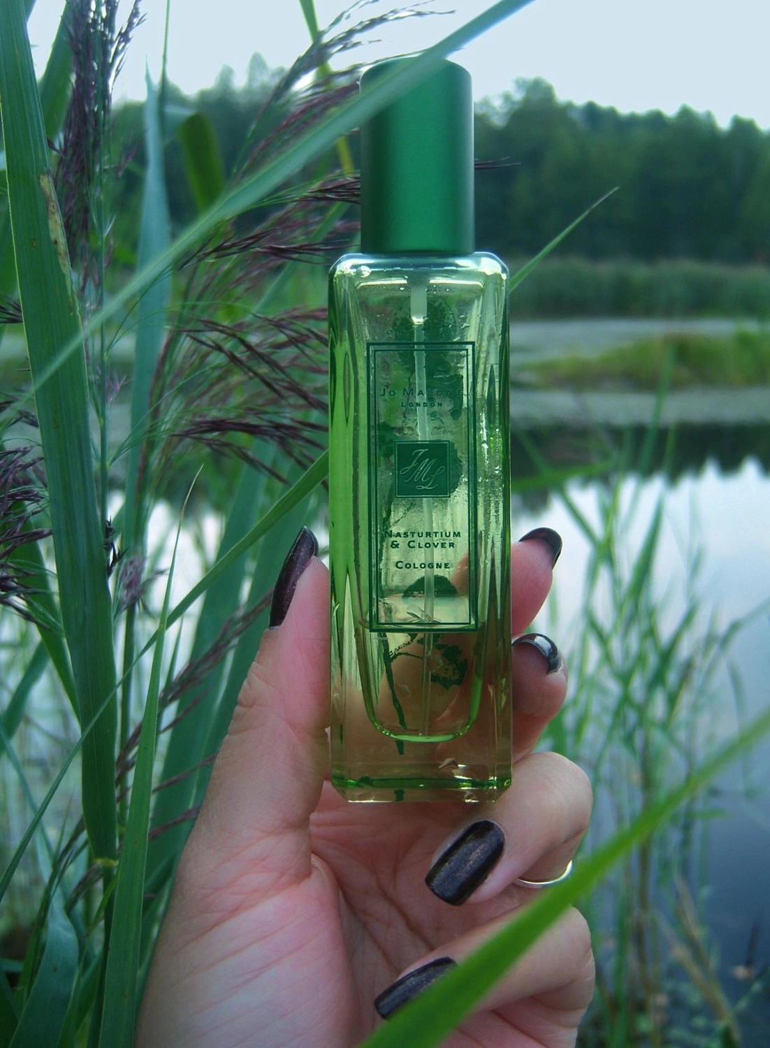 Jo Malone Nasturtium & Clover