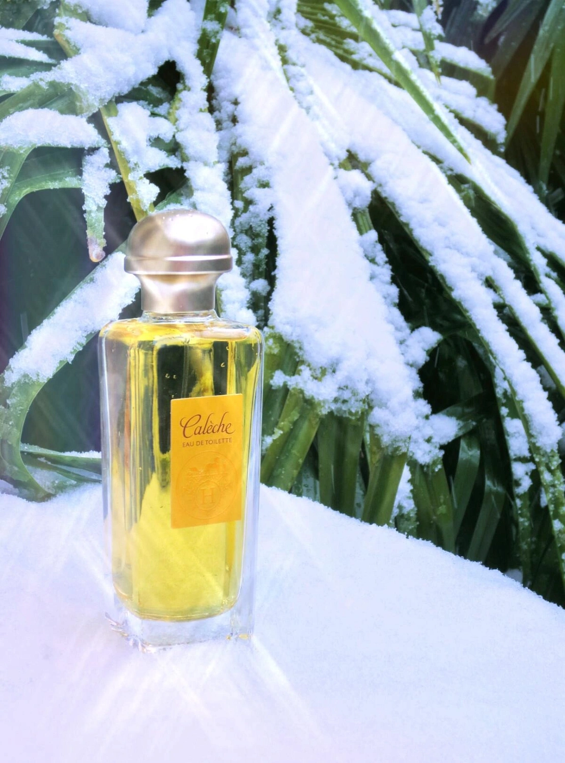 Hermès Caleche