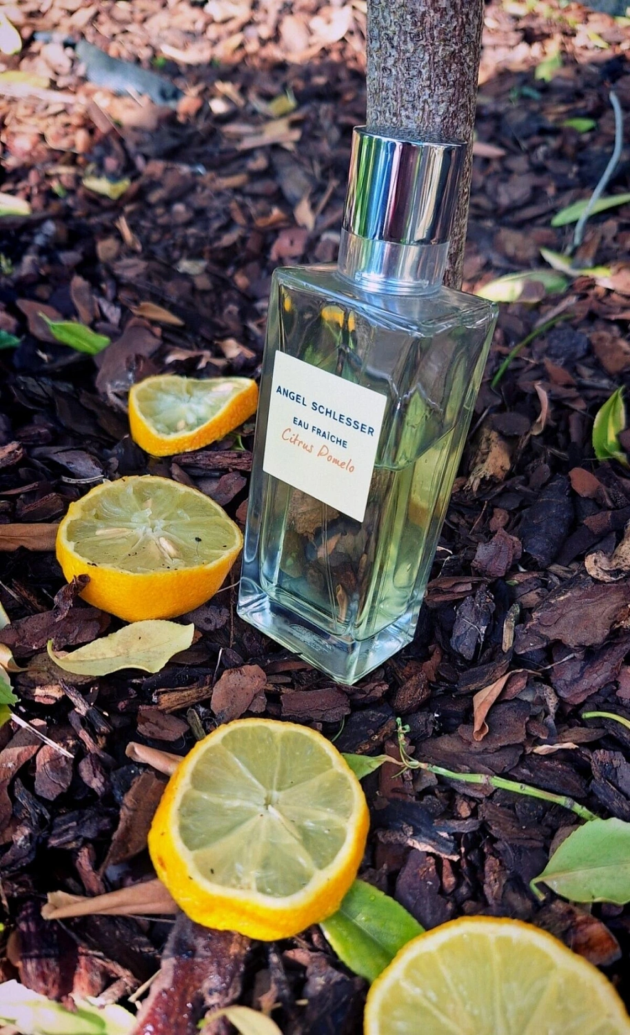 Angel Schlesser Eau Fraiche Citrus Pomelo