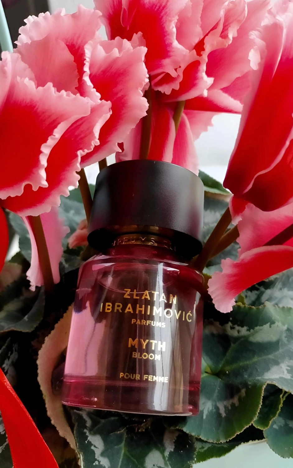 Zlatan Ibrahimovic Parfums Myth Bloom