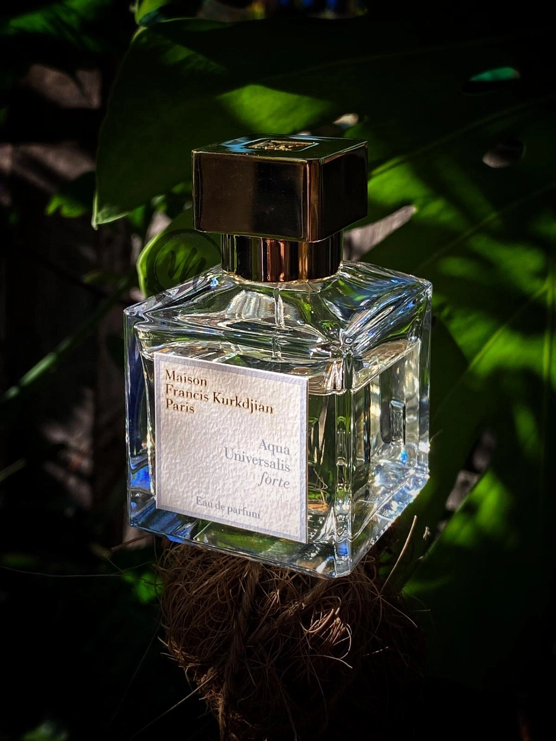 Maison Francis Kurkdjian Aqua Universalis