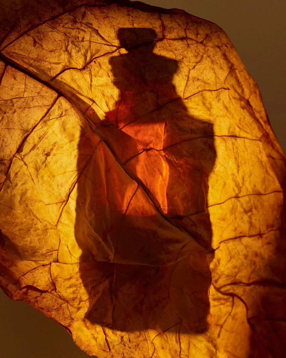 Dries Van Noten Havana Gold